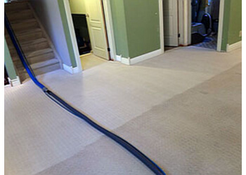 3 Best Carpet Cleaning in Belleville, ON - Expert Recommendations