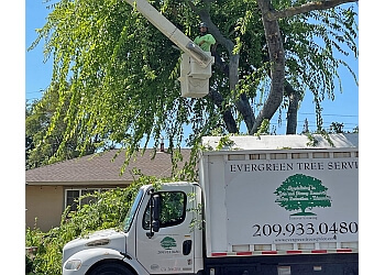 Roberts Tree Service Stockton MySts
