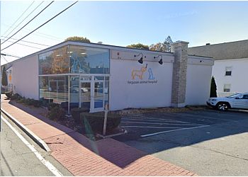 Ferguson Animal Hospital Reviews All Things About Pets
