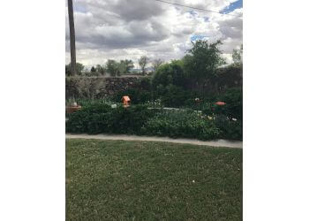 Sorry, we are having trouble with that url right now. 3 Best Lawn Care Services in El Paso, TX - Expert ...