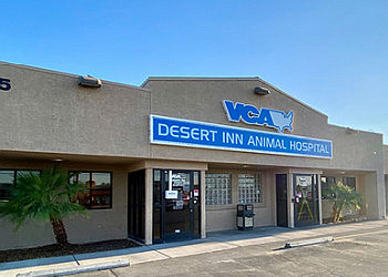 northwest animal hospital las vegas Brittny Keeler
