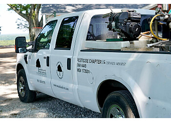 Chippers Tree Service Bartlett Tn All information about