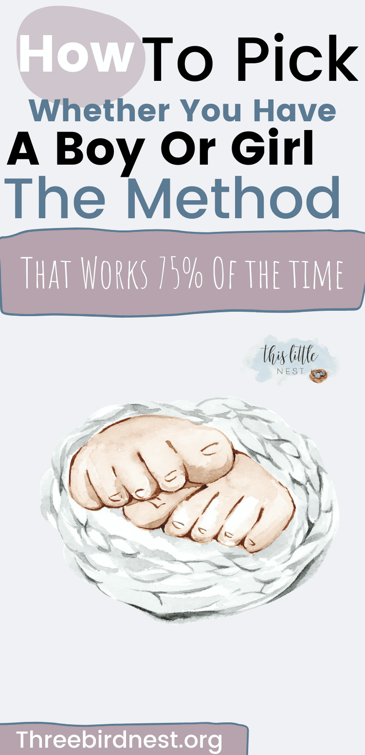 Calendar Shettles Method Hollie Hyacinthe