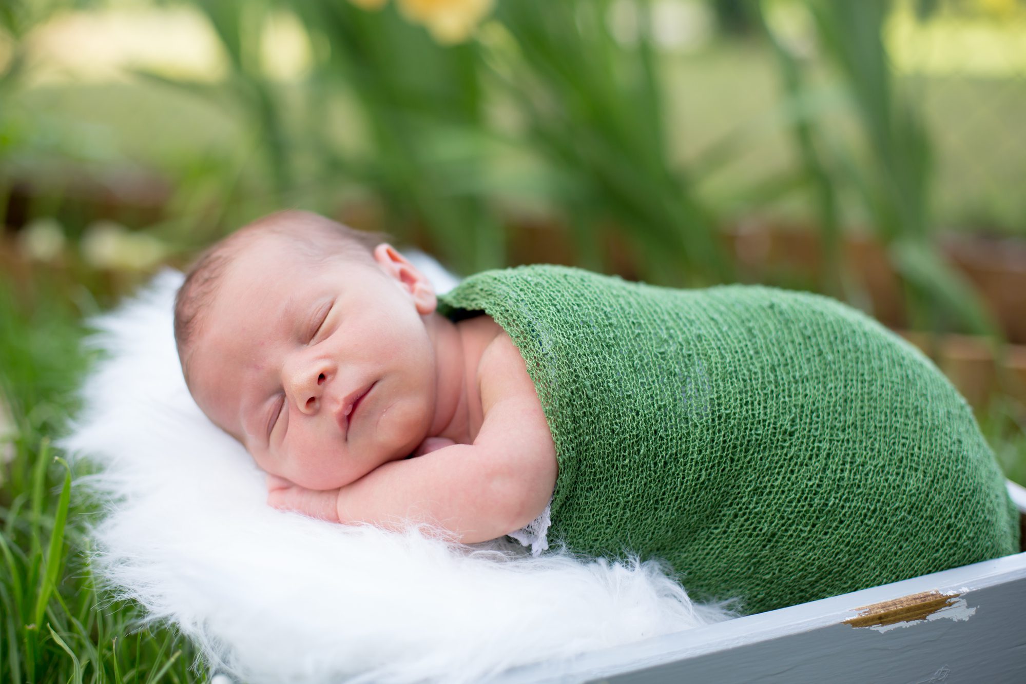 Nature Inspired Baby Names You'll Love! This Little Nest