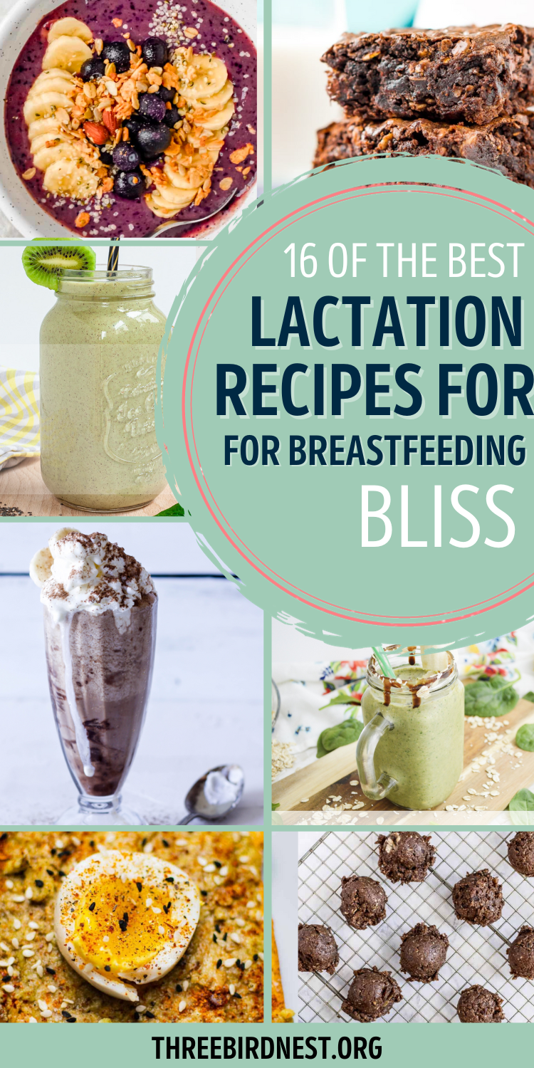 The Best Lactation RecipesNourish & Thrive On Lactation Recipes