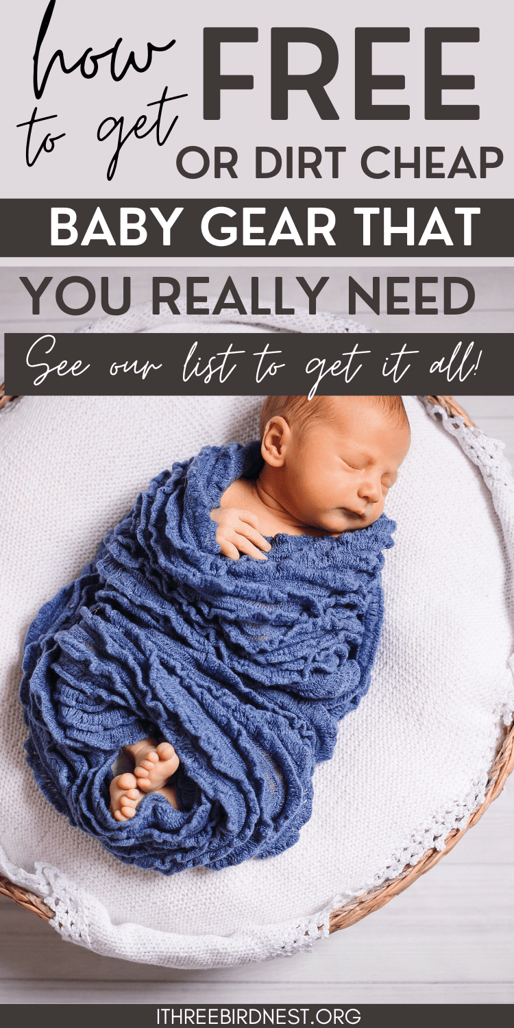 Dirt Cheap Baby Gear A Guide to Accessing Free and Inexpensive Baby