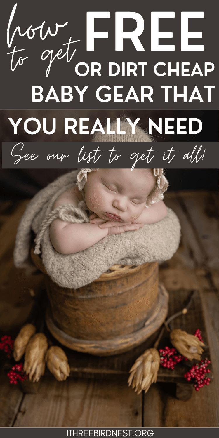 Dirt Cheap Baby Gear A Guide to Accessing Free and Inexpensive Baby