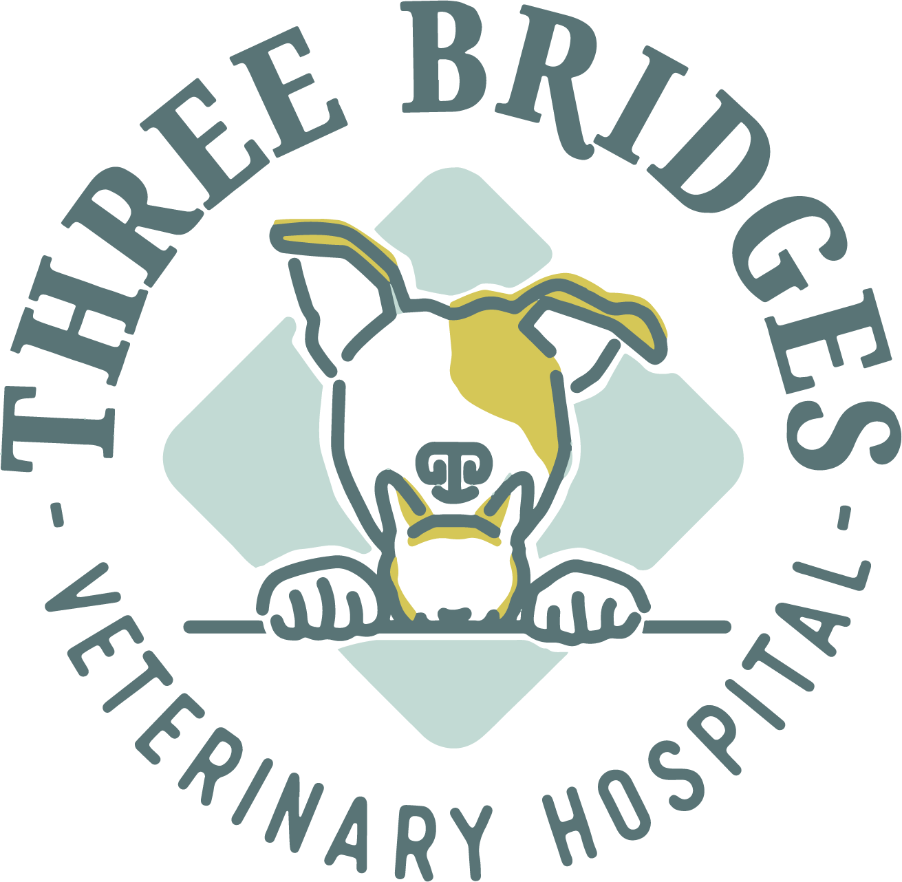 Veterinarian In Basking Ridge, NJ 07920 Three Bridges Veterinary Hospital