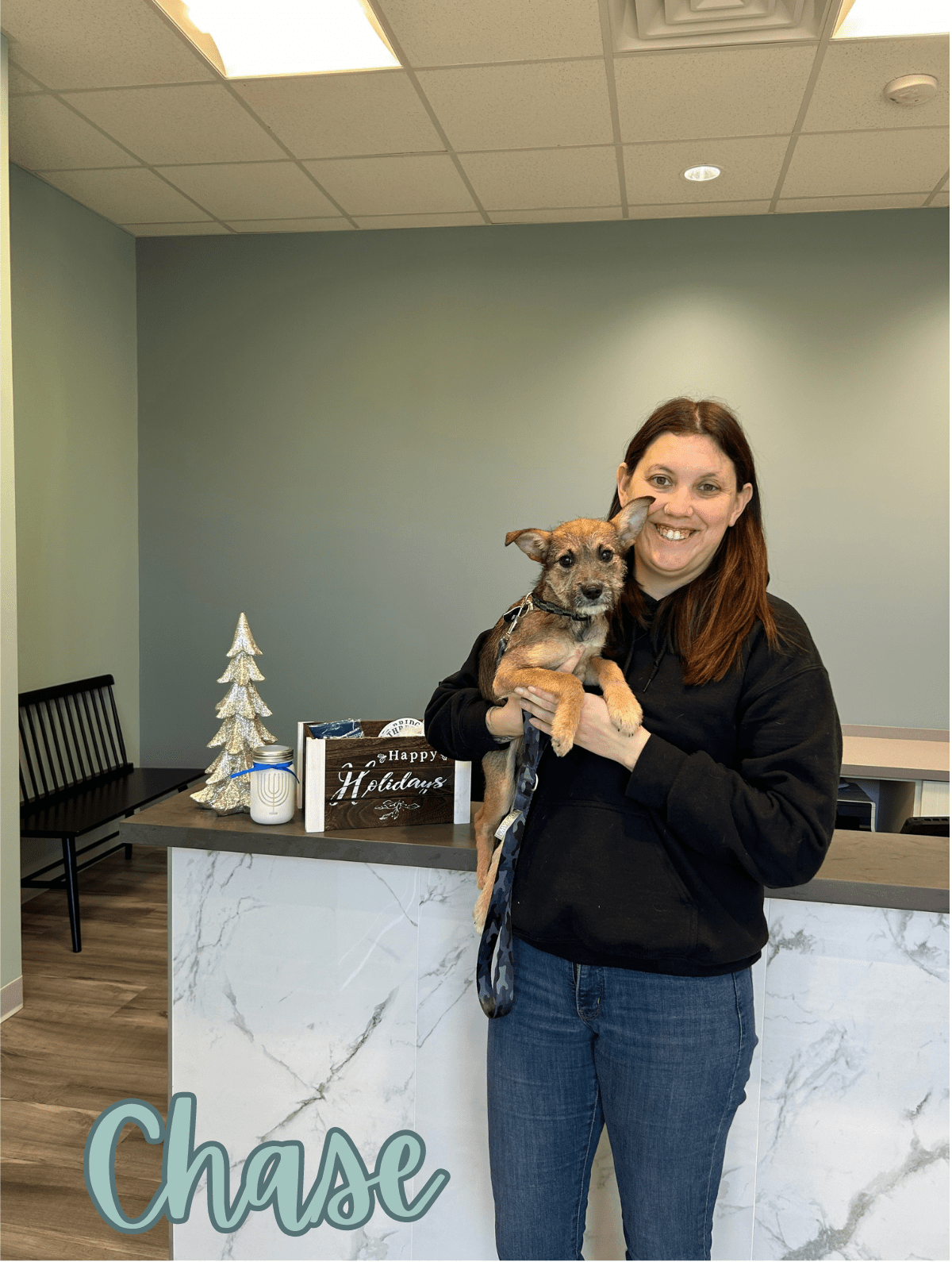 Three Bridges Veterinary Hospital Gallery