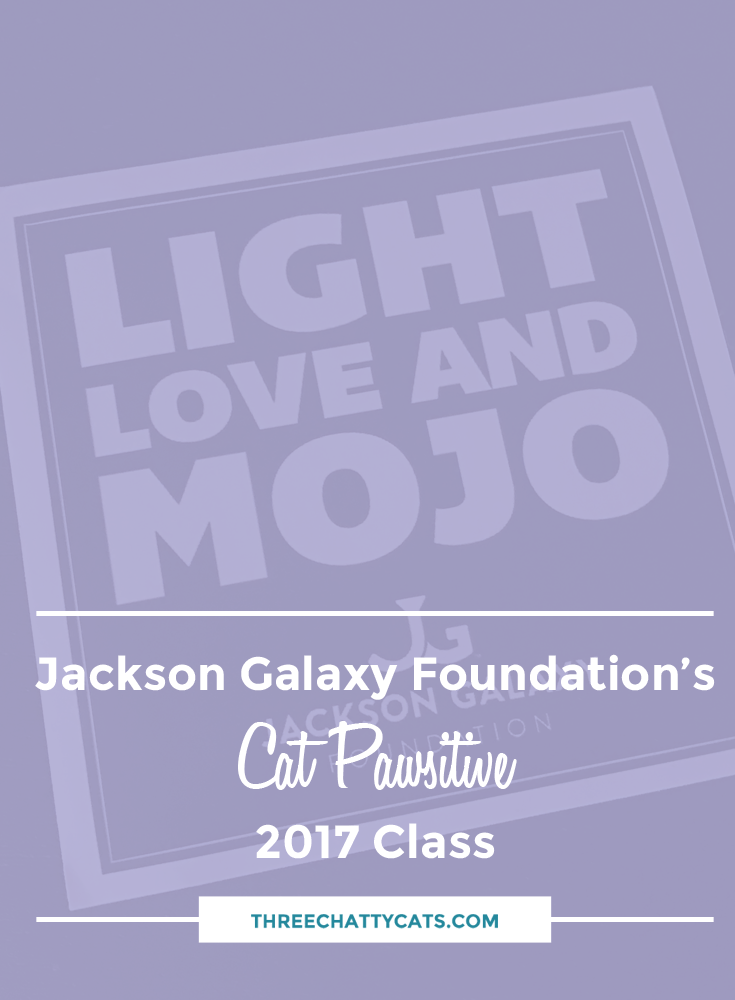 Jackson Galaxy Foundation's Cat Pawsitive 2017 Class Three Chatty Cats