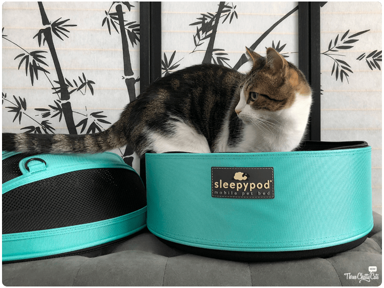 Sleepypod (Day 11 of 12 Days of Giveaways) Three Chatty Cats