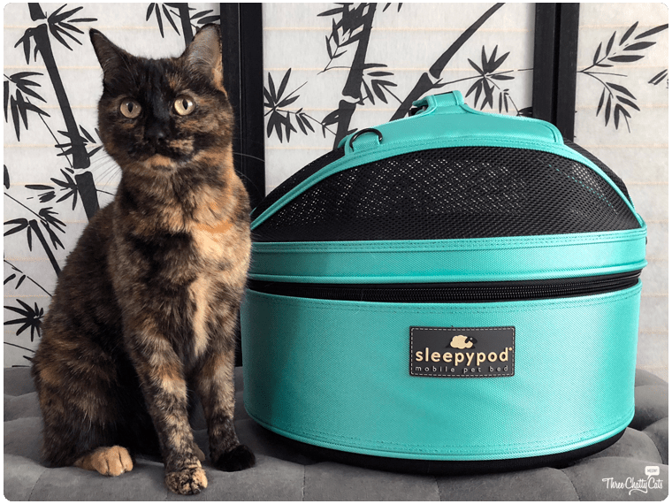 Sleepypod (Day 11 of 12 Days of Giveaways) Three Chatty Cats