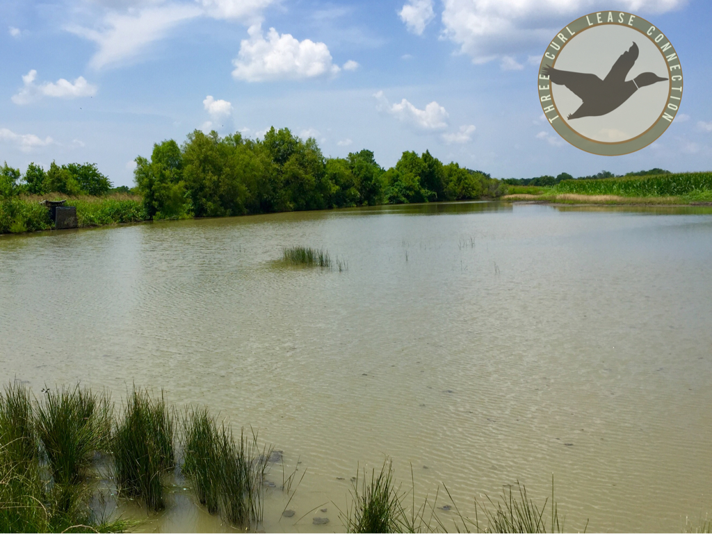 HG 103 Duck Hunting Lease in North Texas
