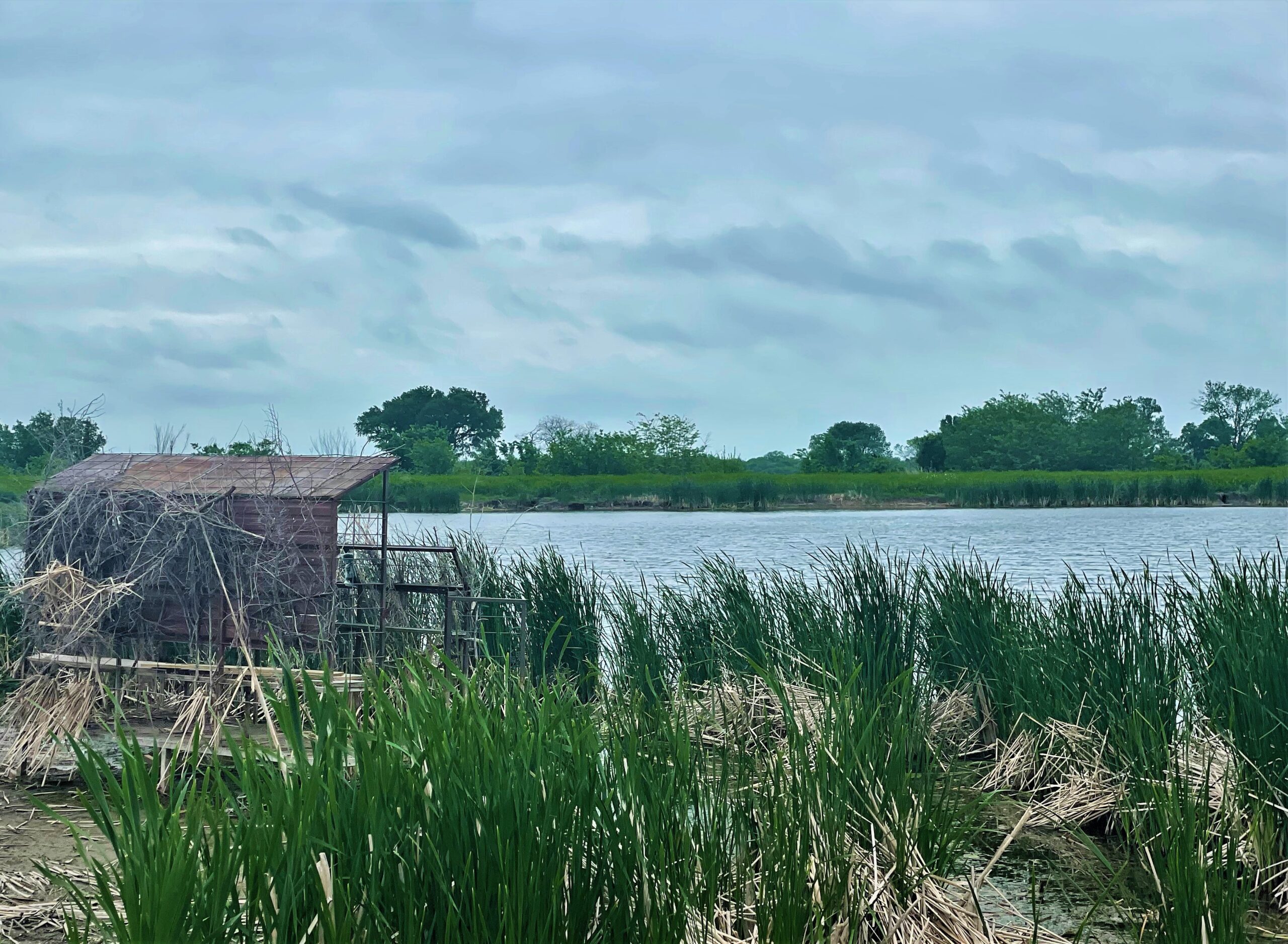 Italy 275 Duck Hunting Lease North Texas