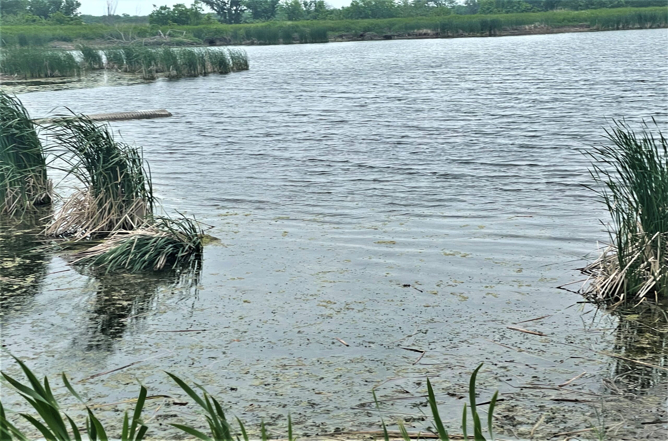 Italy 275 Duck Hunting Lease North Texas