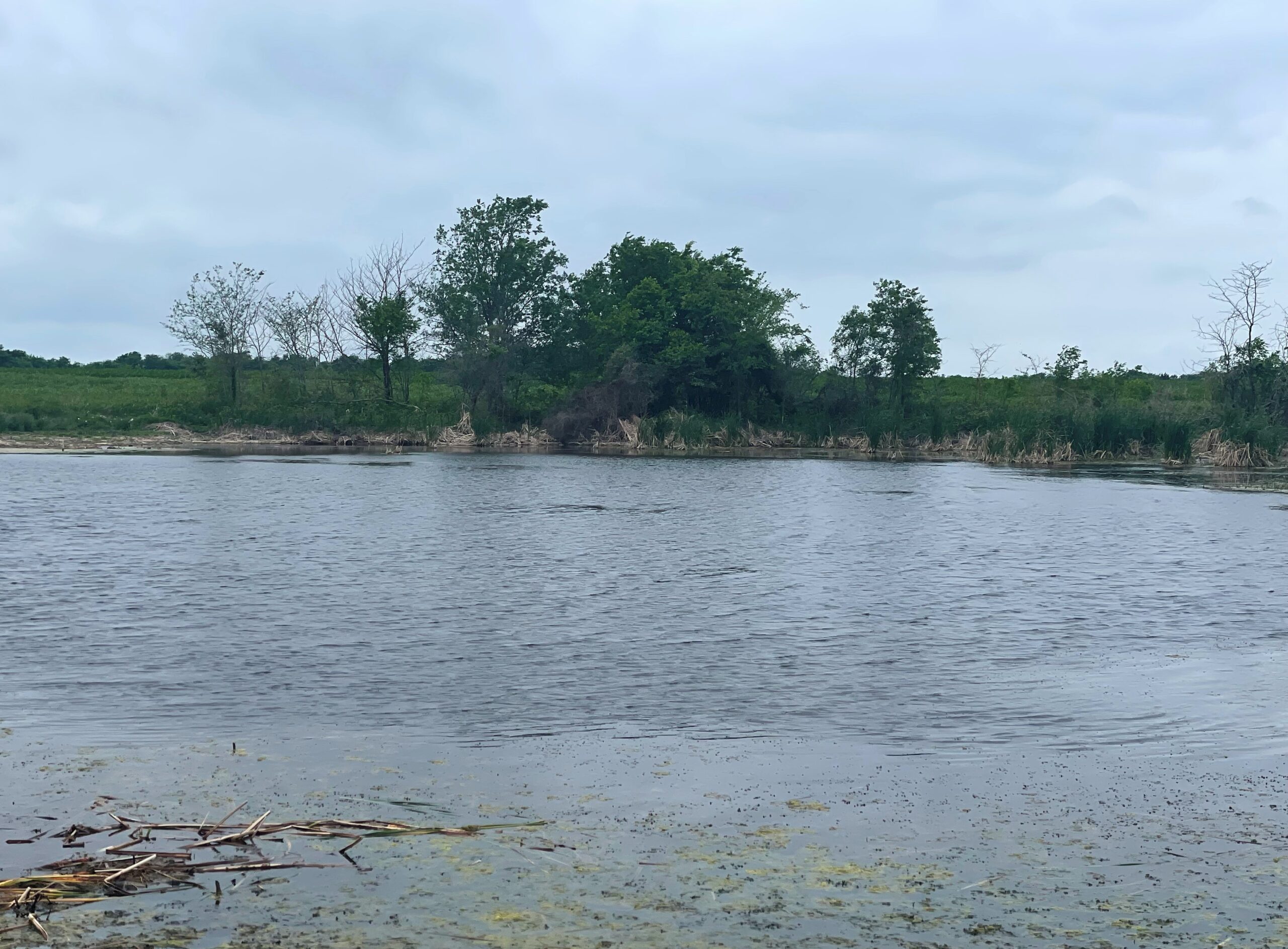 Italy 275 Duck Hunting Lease North Texas