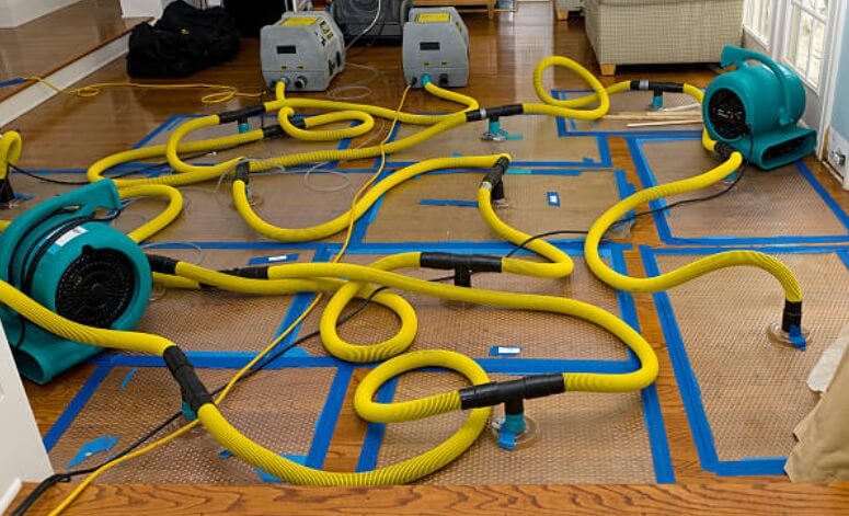 Three Damage Restoration Mold Your Mind , Restore Your Life