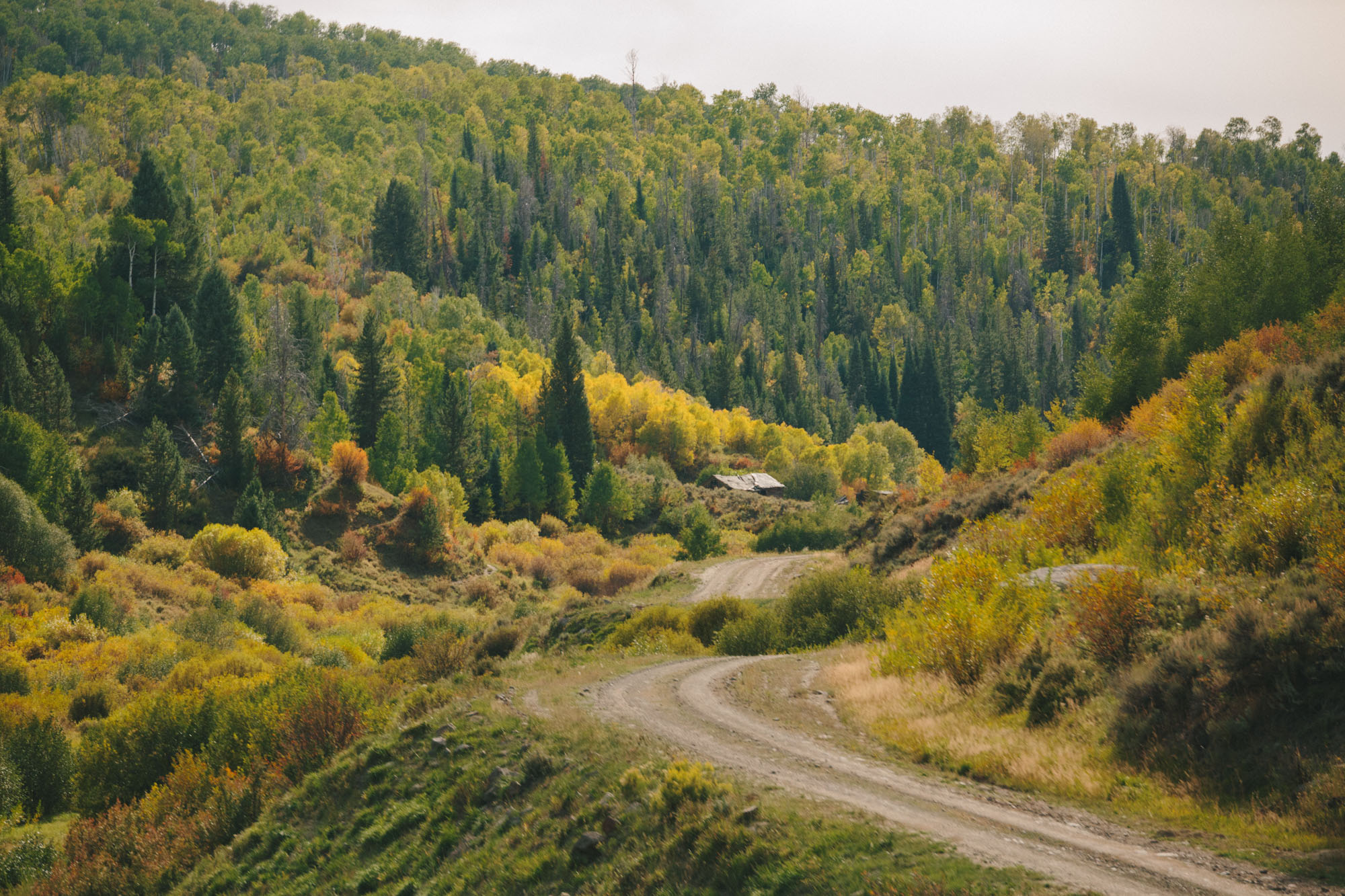 Experience the Ultimate Autumn Vacation at Three Forks Ranch