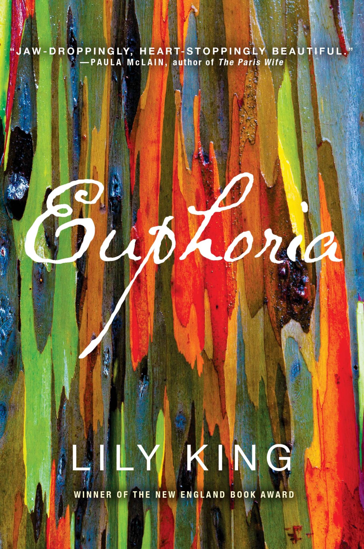 Euphoria by Lily King Three Guys One Book