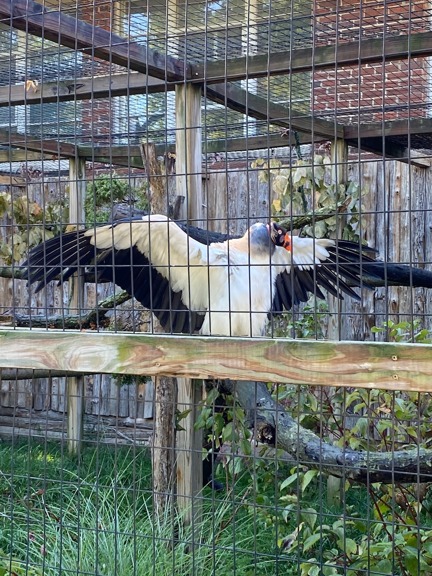Potter Park Zoo Lansing, MI Three Happy Turtles