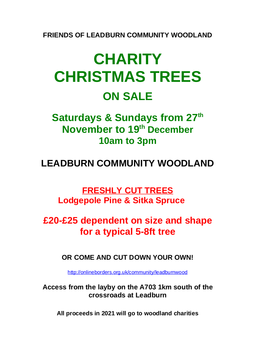 Charity Christmas Trees three hares woodland