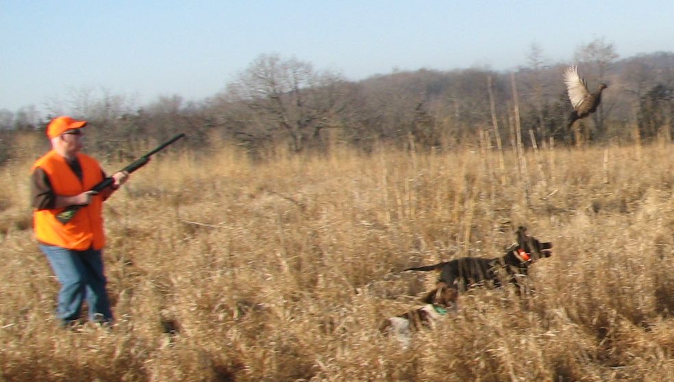 Three Hills Hunting Preserve L.L.C.