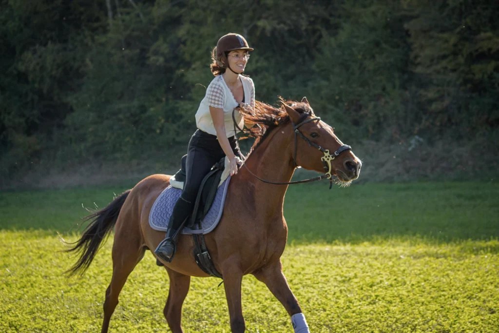 Hackamore présentation et conseils d’utilisation Three Horses