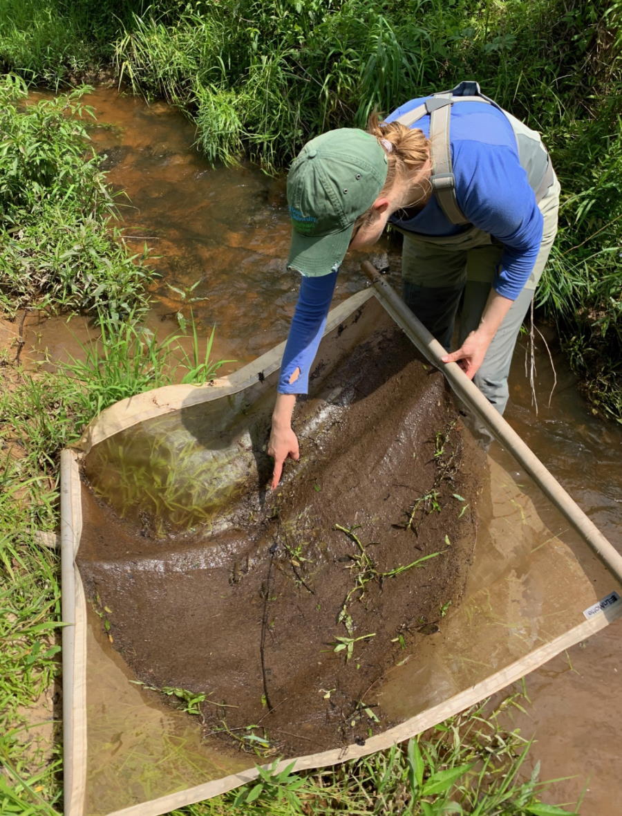 Benthic Macroinvertebrate Sampling Three Oaks Engineering