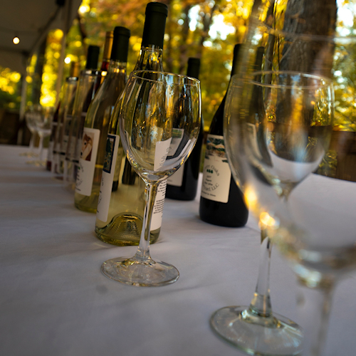 Three Oaks Vineyard Granville, OH