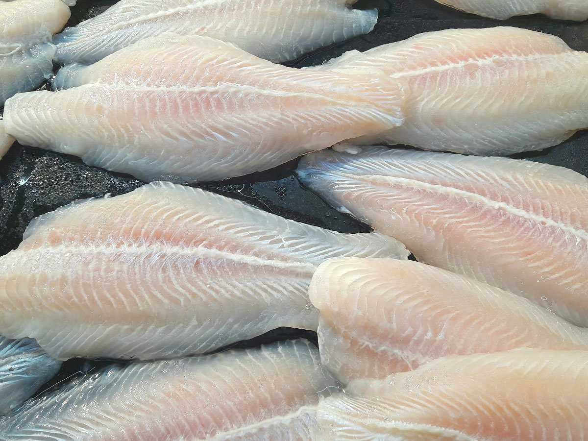 ThreeOne® Partner Wholesalers & Distributors