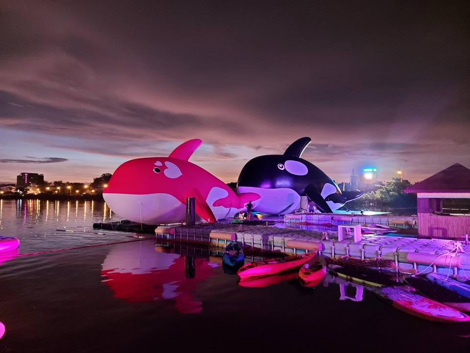 【台南景點】全球最大虎鯨裝置藝術：安平虎鯨亮晶鯨ORCA GO！嘉年華