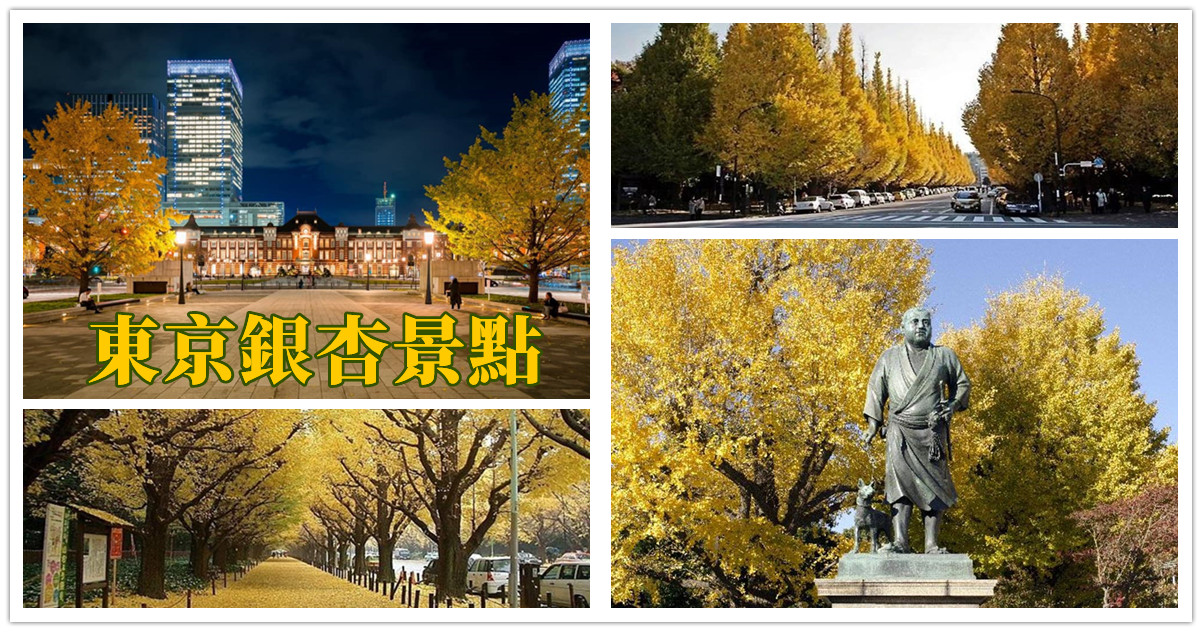 東京銀杏時間,東京銀杏,東京銀杏季節,東京銀杏預測,東京銀杏地點,東京銀杏景點,日本,東京,銀杏,楓葉,日本銀杏,日本賞楓,日本賞楓自由行,日本賞楓景點,日本賞楓行程,日本賞楓旅遊,東京賞楓,東京賞楓景點,東京賞楓時間,東京賞楓地點,紅葉