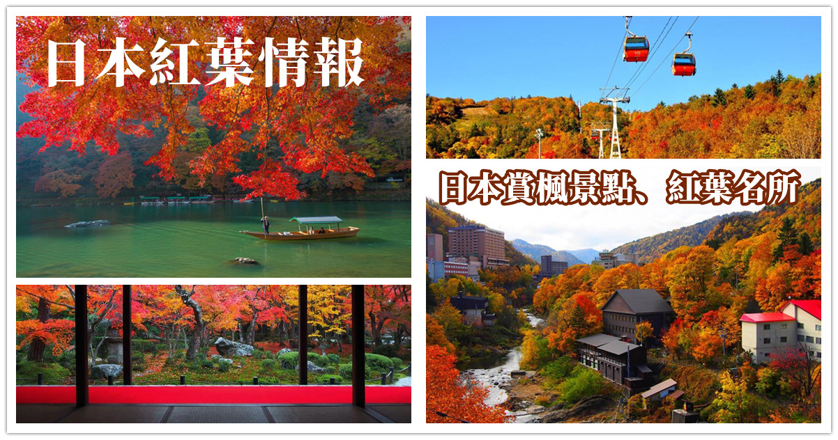日本紅葉預測2024,日本紅葉期2024,日本,日本紅葉預測網站,日本紅葉2024,日本紅葉,日本紅葉預測網站2024,日本紅葉最前線,日本紅葉時間2024,日本紅葉時間,日本賞楓,日本賞楓2024,日本賞楓自由行,日本賞楓團推薦,日本賞楓景點,日本賞楓時間2024,日本賞楓團2024,日本賞楓秘境