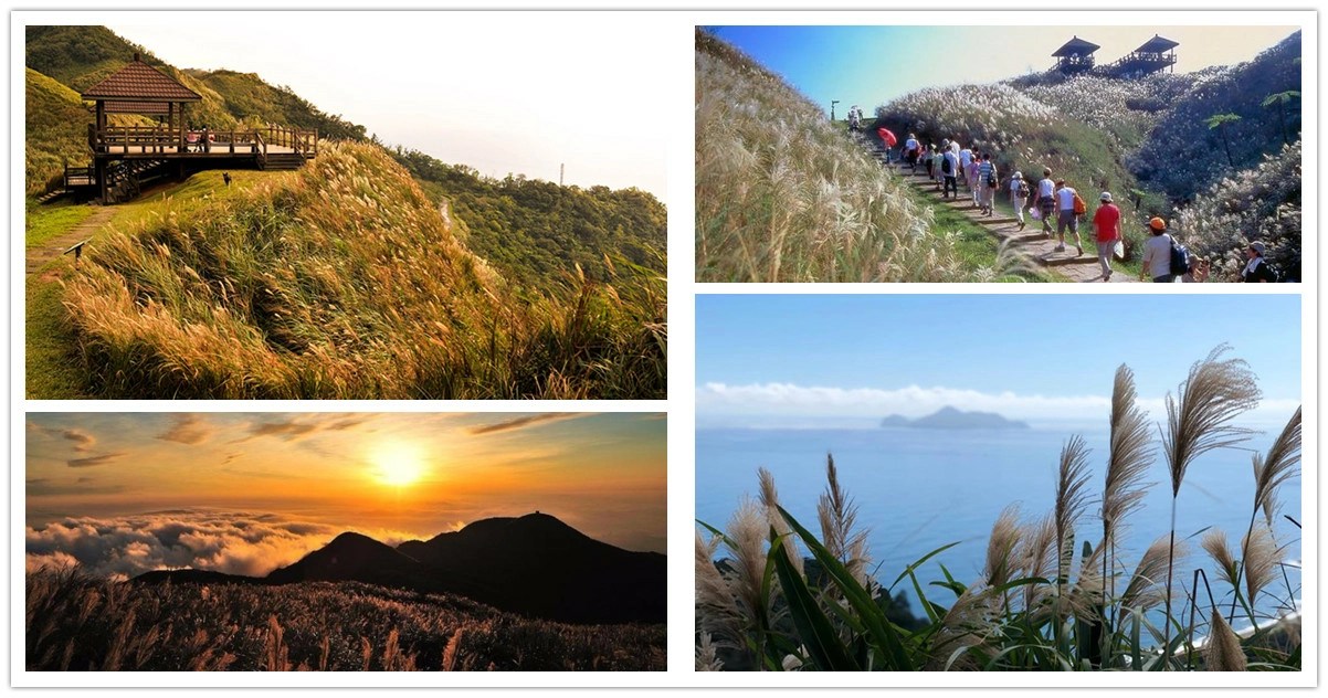 草嶺古道芒花季,草嶺古道芒花季接駁車,草嶺古道芒花季 活動,草嶺古道芒花季 介紹,草嶺古道芒花季 宜蘭,草嶺古道芒花季 地址,草嶺古道芒花季 住宿,草嶺古道,草嶺古道路線圖,草嶺古道交通,草嶺景點,淡蘭古道,宜蘭,龜山島