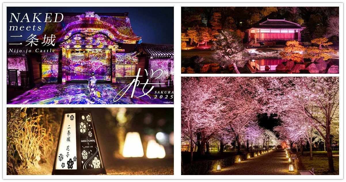 京都,二条城,二条城門票,二条城夜間,二条城夜櫻,二条城夜櫻門票,二条城交通,二条城 櫻花,二條城,二條城門票,二條城光雕秀,二條城 櫻花,日本,NAKED, NAKED meets 二條城 2025 櫻