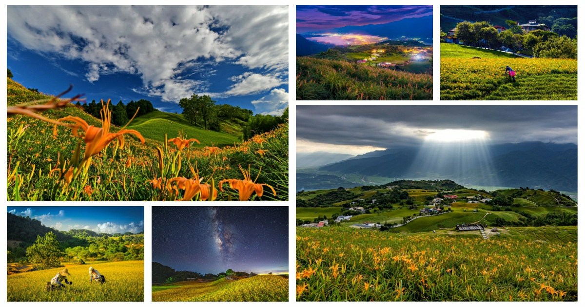 花蓮金針花季2025,花蓮金針花季,花蓮金針花季,花蓮,金針花,金針花季,花蓮金針花季節,六十石山金針花季,六十石山金針花季節,六十石山金針花,六十石山金針花季,六十石山金針花季節,六十石山金針花地標,六十石山金針花海 花季,六十石山金針花況,六十石山金針花季 時間,花蓮金針花季 赤柯山,赤柯山金針花季,赤柯山金針花季節,赤柯山金針花季 時間,赤柯山金針花,赤柯山金針花季,赤柯山金針花花期,赤柯山金針花交通,赤柯山金針花季節,赤柯山,六十石山