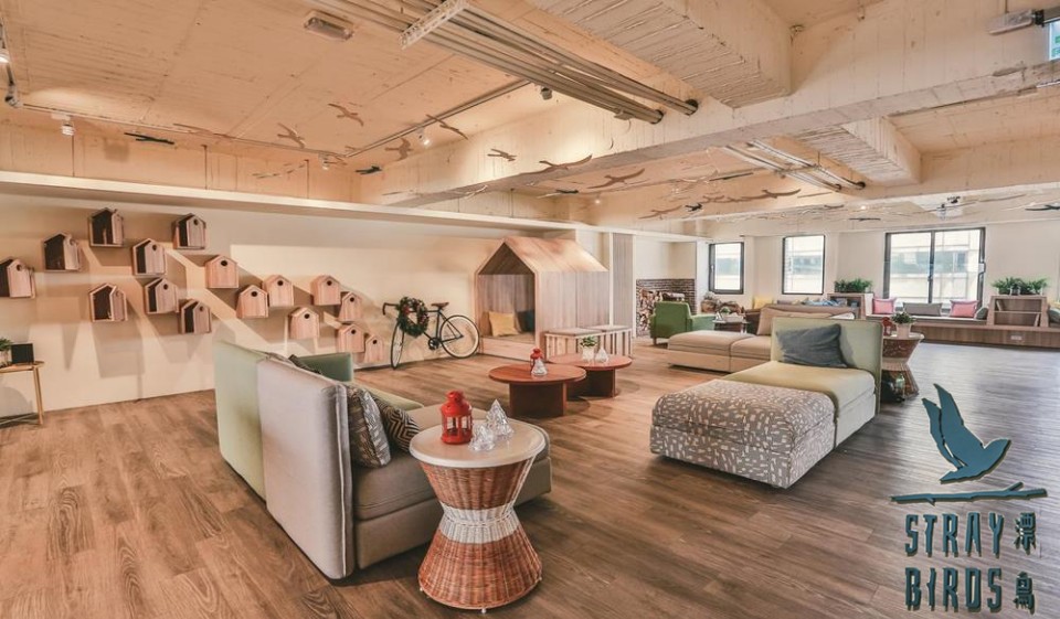 【台中住宿推薦NO 1】Straybirds漂鳥台中青旅：台中必住輕奢文青風格背包客棧！