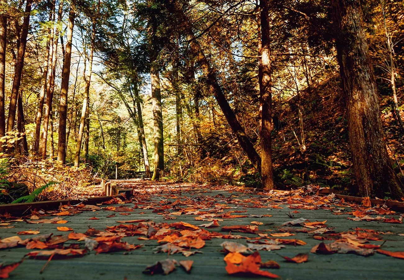 Property Gallery Three Penn Properties, LLC.