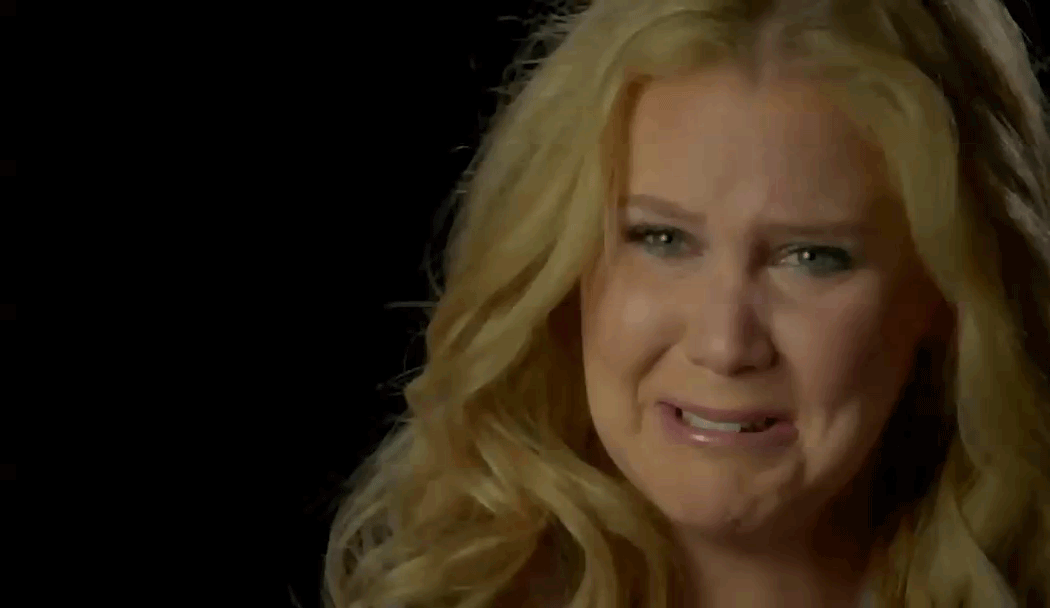 [WATCH]Amy Schumer Destroyed After Telling Distasteful Trump Joke 3