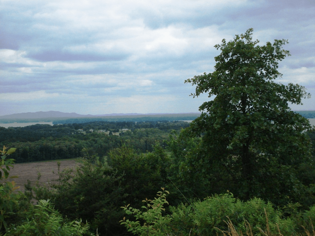The Bluffs of Weiss Three River Realty Weiss Lake