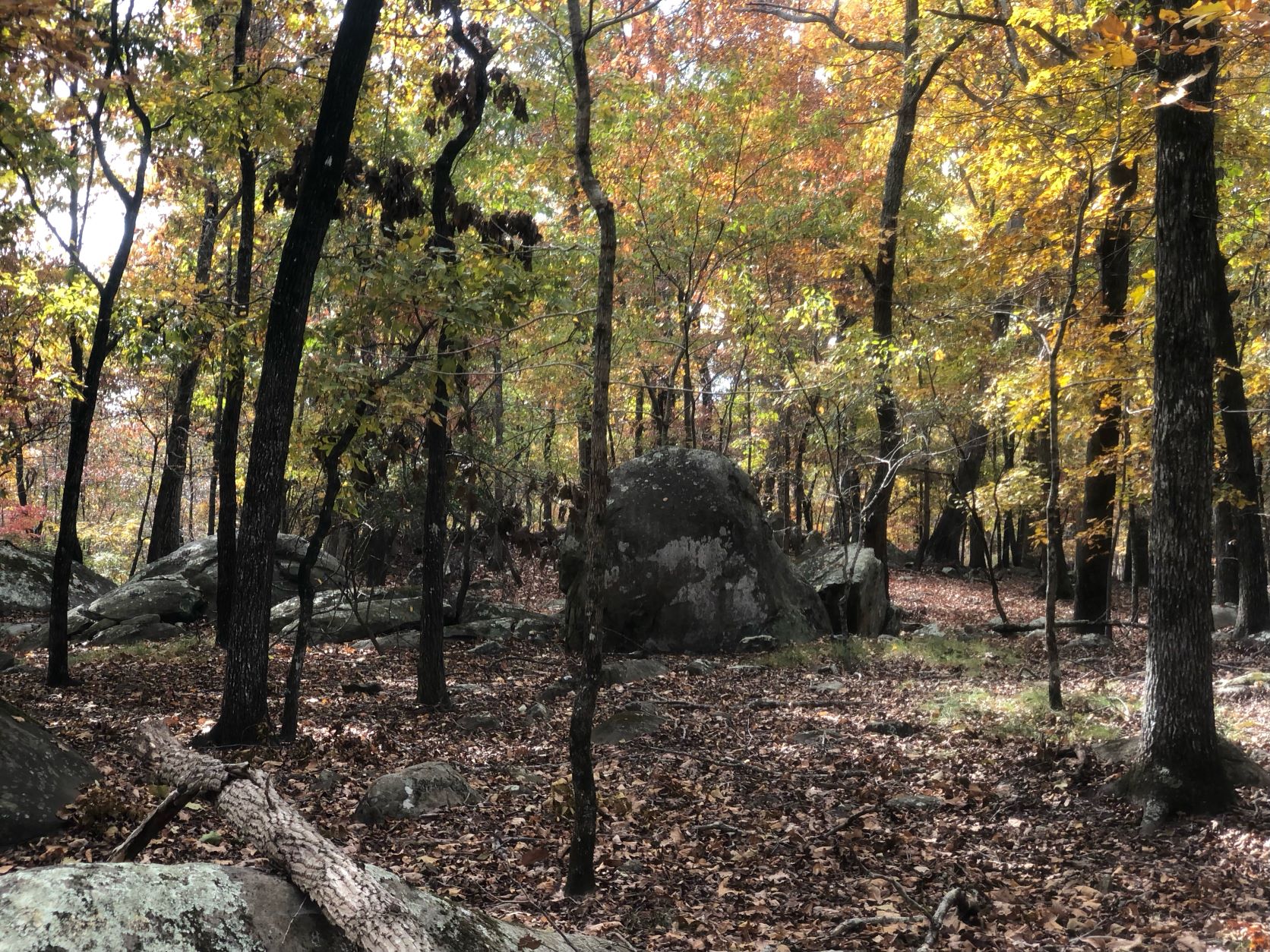 Three Rivers Land Trust Transfers 215 Acres to Morrow Mountain State