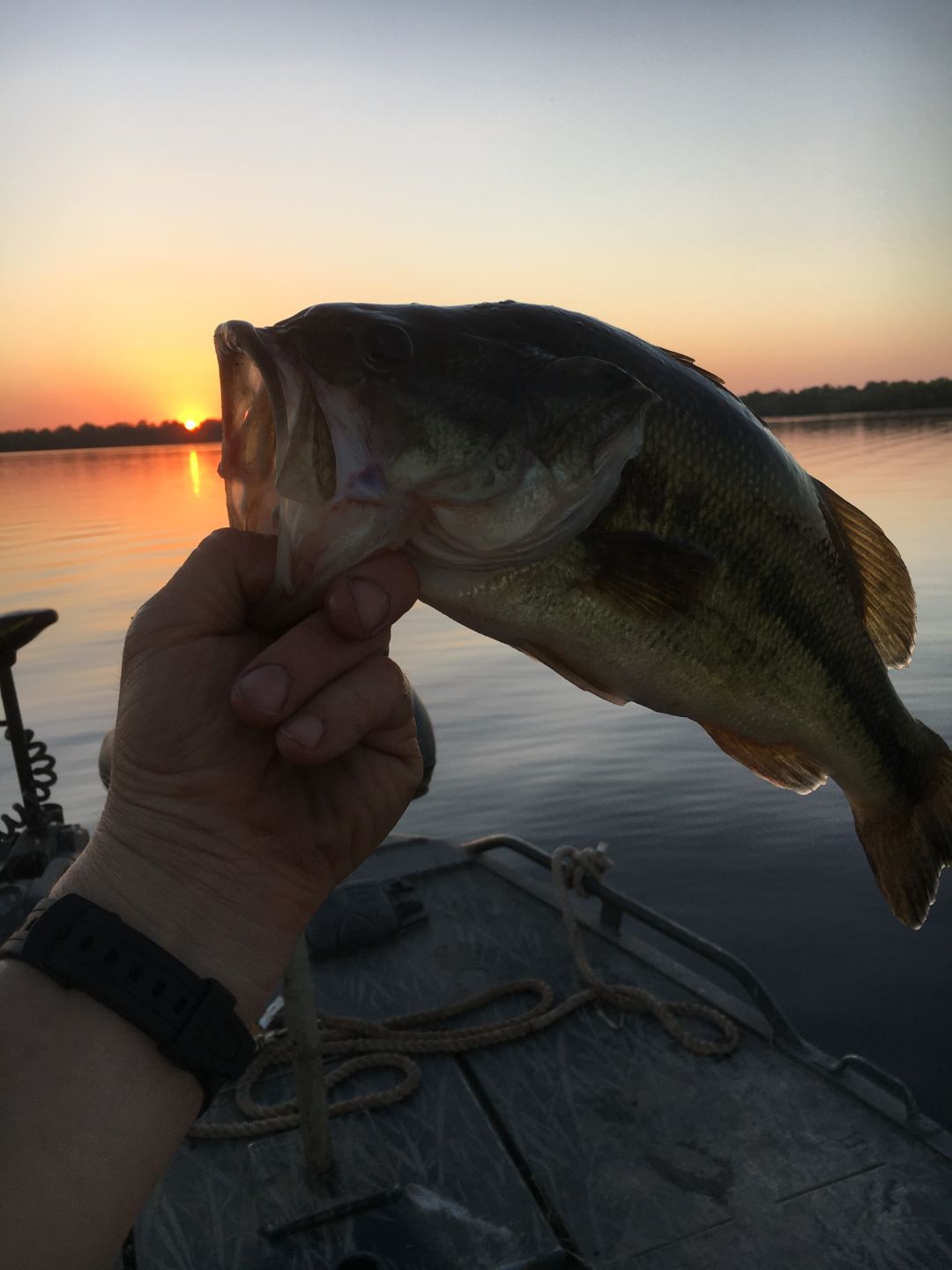 Photos Three Rivers RV Park