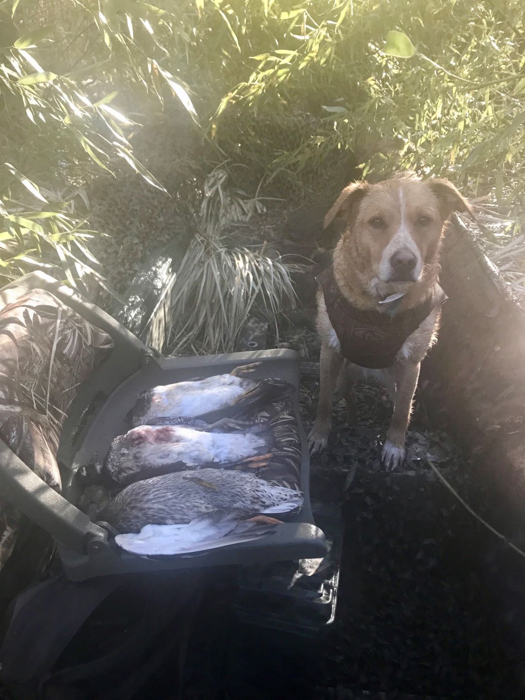 Three Rivers RV Park RV Park & Campground