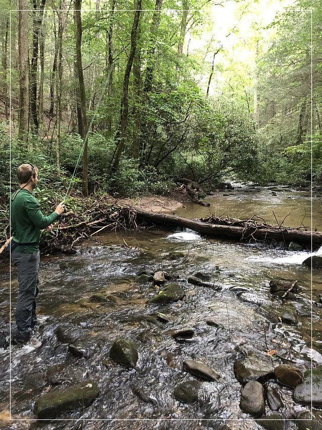 Three Springs Realty, LLC