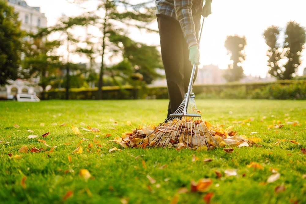 Fall Yard Maintenance A Guide For Homeowners