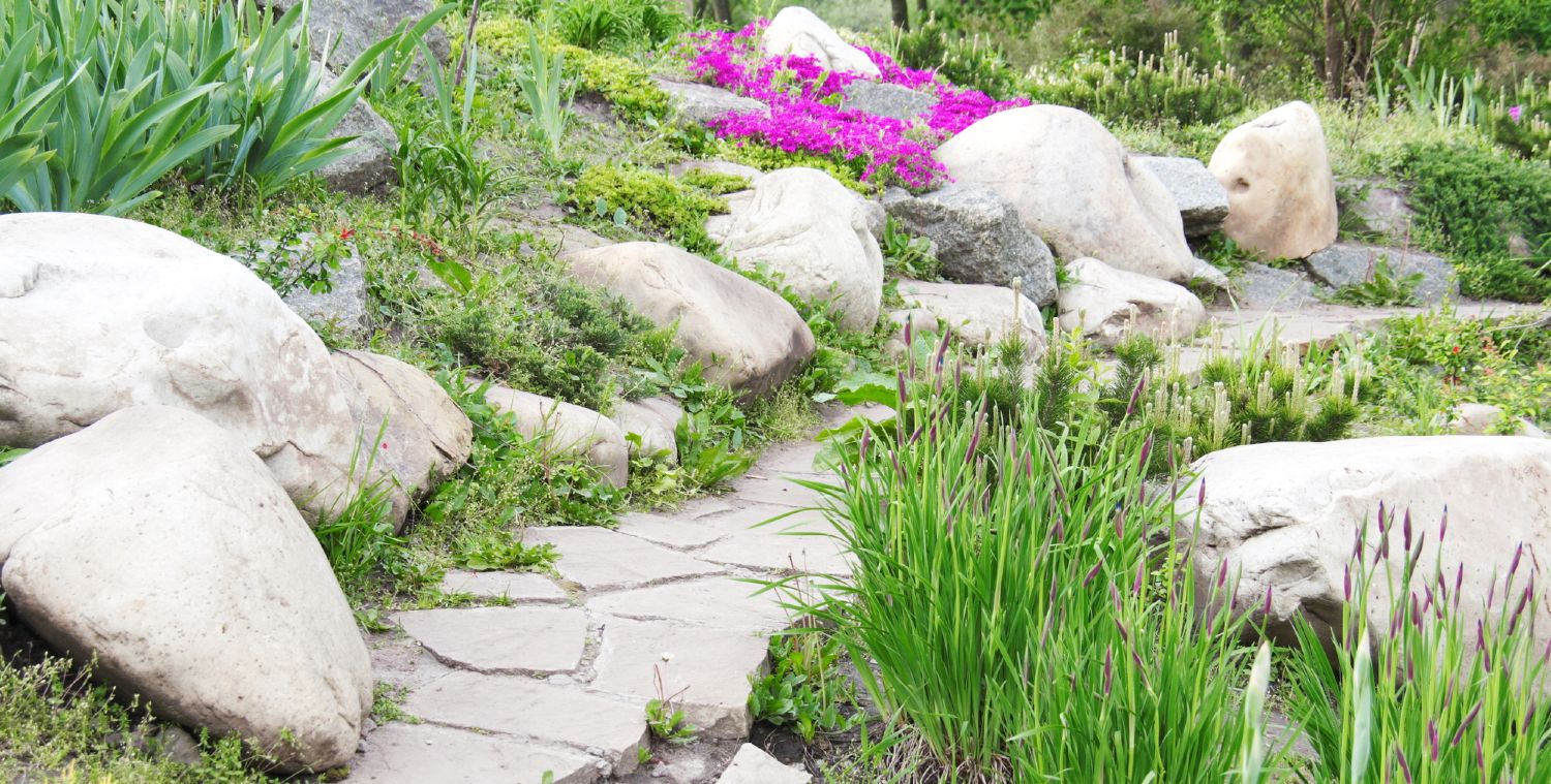 What to Put Under Rocks to Prevent Weeds From Growing? • ThreeTwoHome