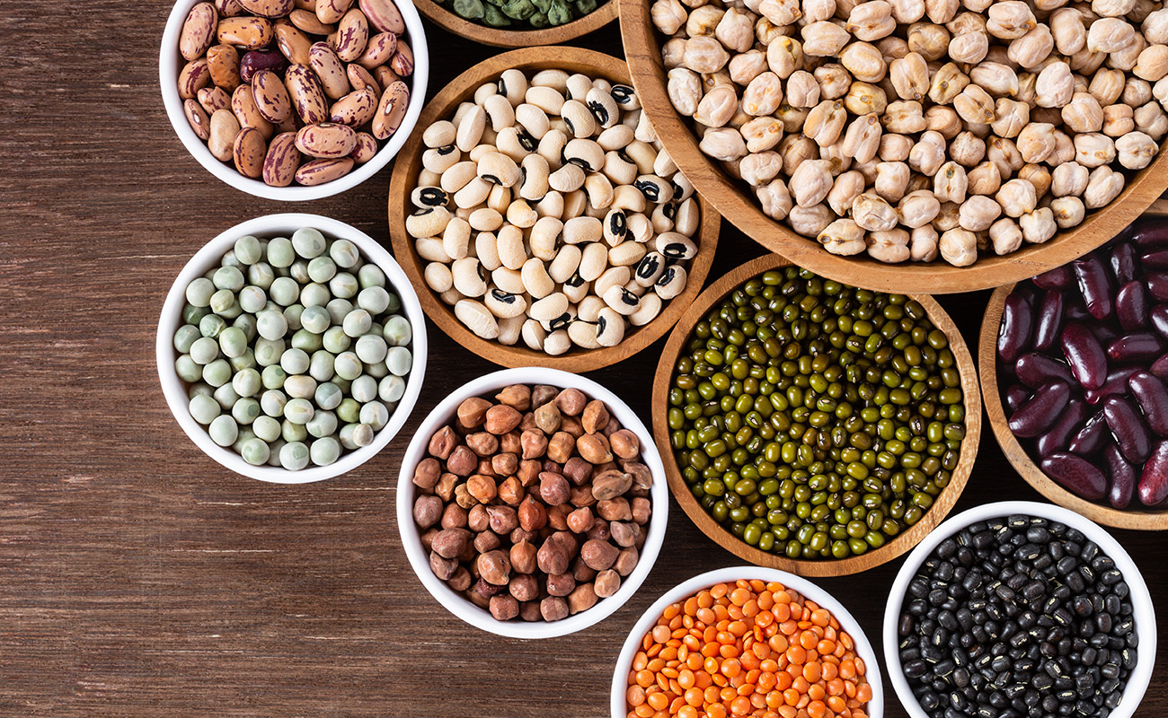 Top 10 Protein Rich Food in India and Their Benefits Threptin