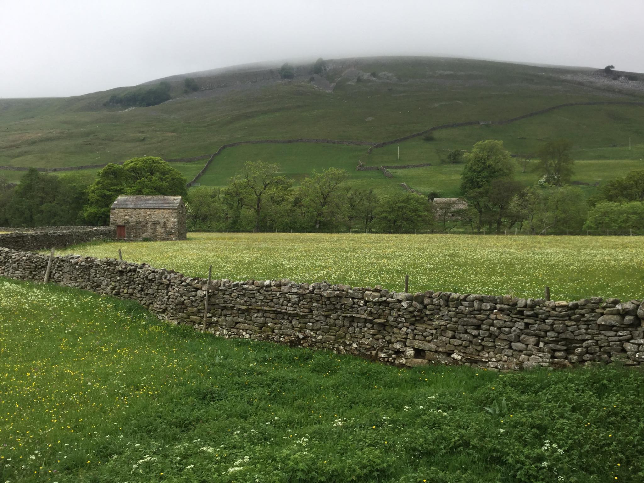 Old Yorkshire Barn Door The Threshing Barn