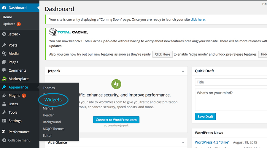 Working with WordPress The Basics Thrifts and Threads