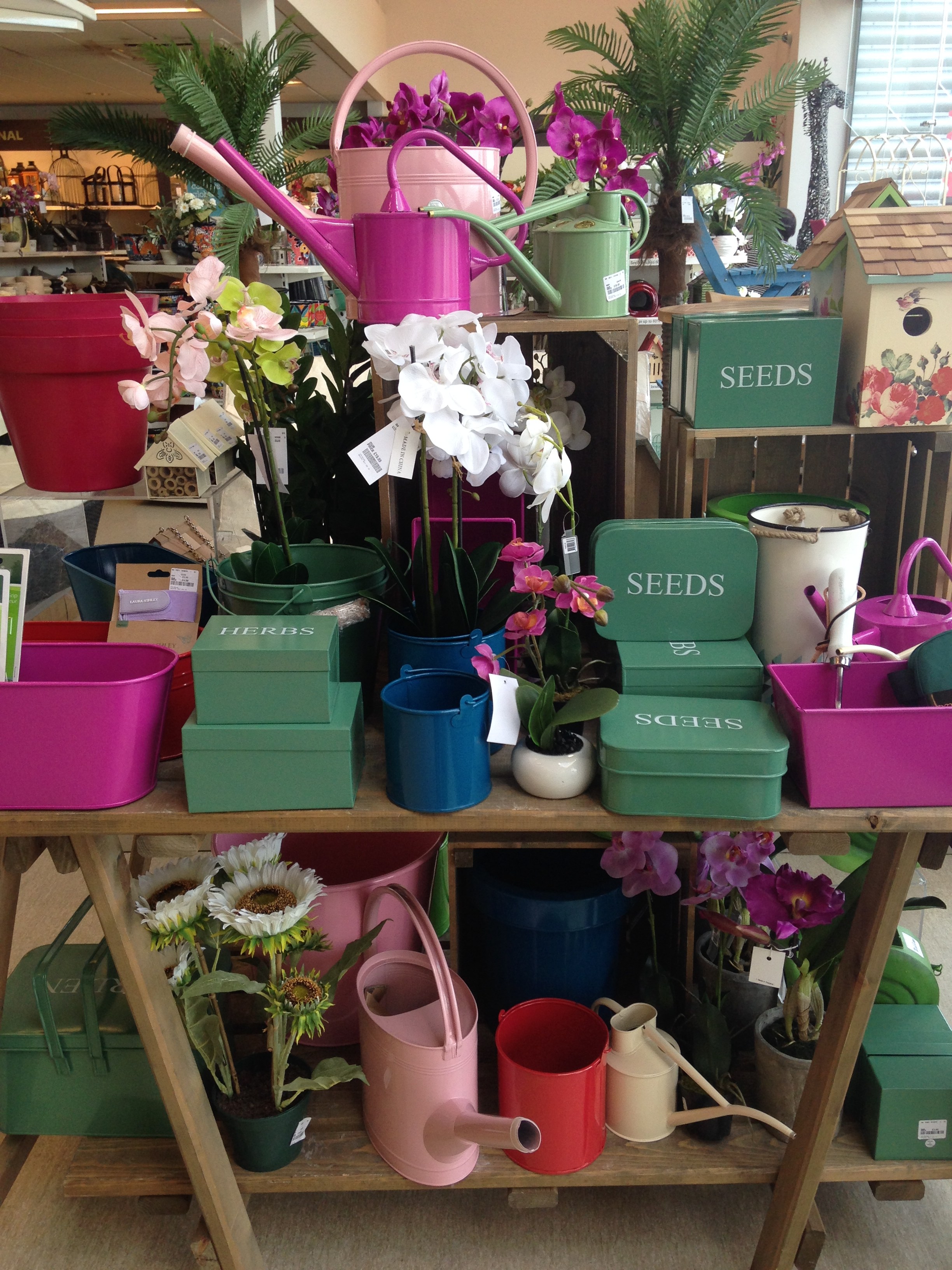 Gardening at HomeSense thrifty home